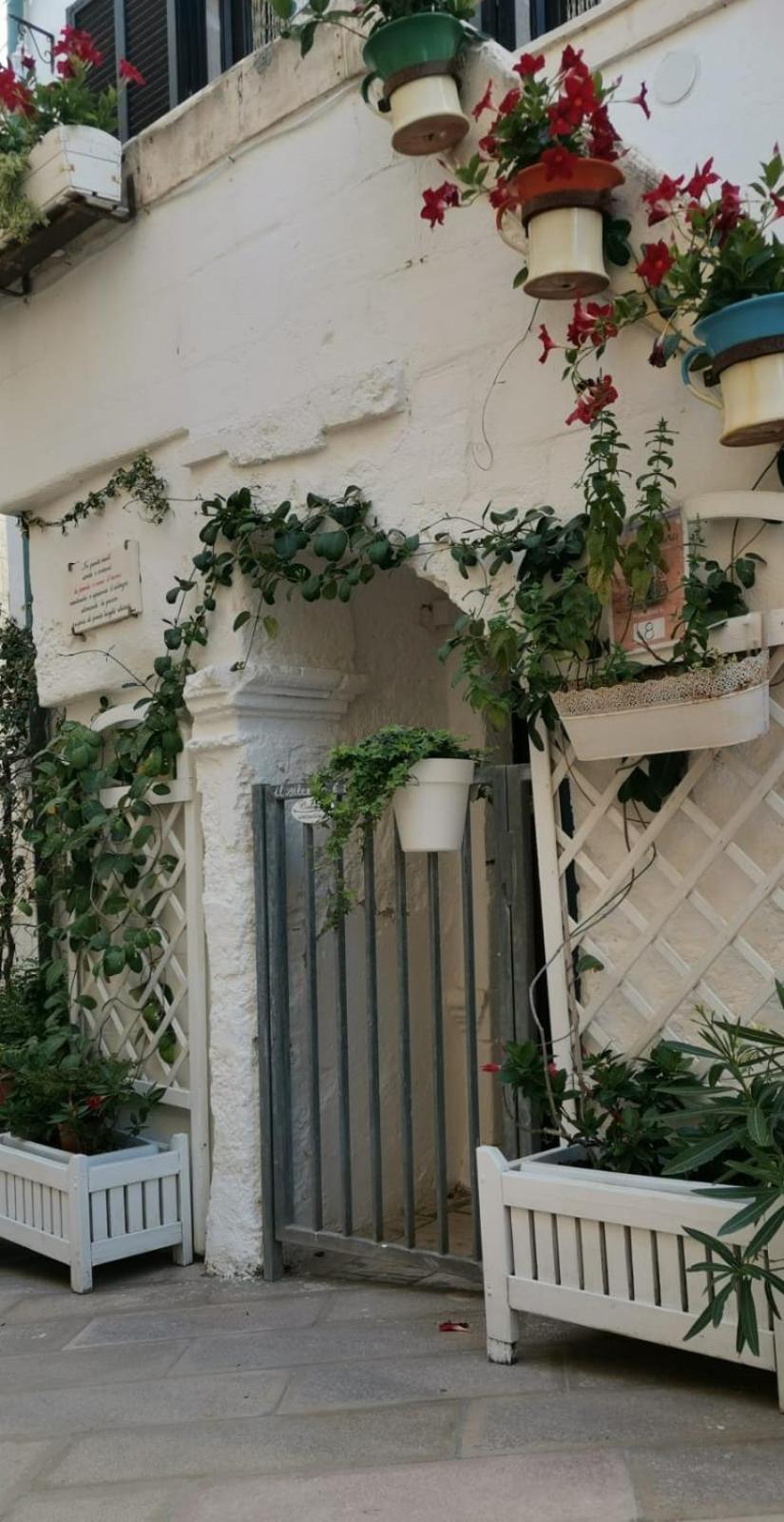 Amoredimare Casa Vacanze Polignano a Mare Eksteriør billede